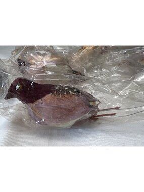 Vintage Feathered Birds Set of 12 Hong Kong 3" Long Decorations New